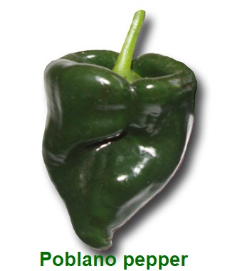 Prime 8 Poblano peppers Diet info and Well being advantages