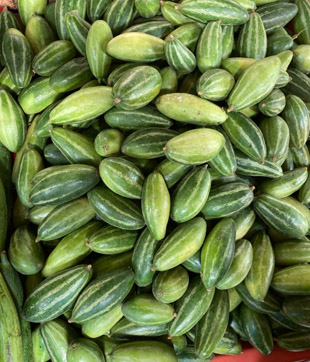 Pointed gourd in a grocery