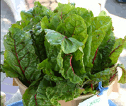 red chard