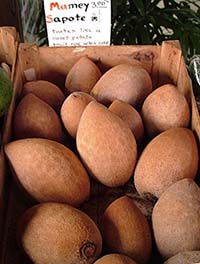 Mamey (Red) sapote in a market