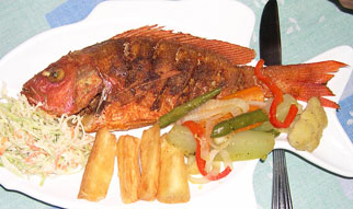 Northern Purple Snapper Diet details and Well being advantages
