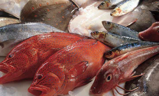 seafood nutriion facts