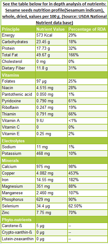 Sesame Seeds Nutrition Facts And Health Benefits