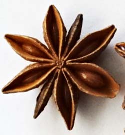 Star anise Diet info, Medicinal properties, and Well being advantages