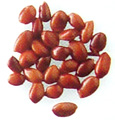 star anise seeds