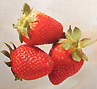 strawberry fruits