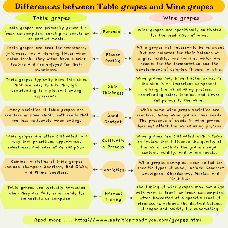 table-grapes-vs-wine-grapes-infographic