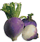 turnips