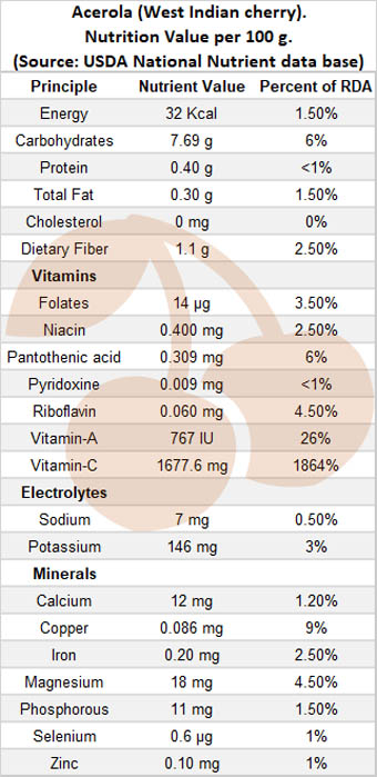acerola nutrition facts per 100 grams