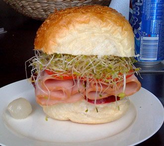 alfalfa-sprouts-burger