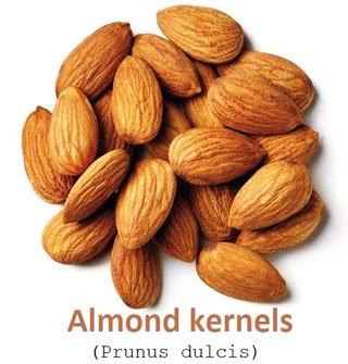 almond kernels