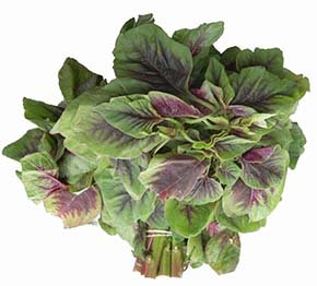 Amaranth greens (chinese spinach)