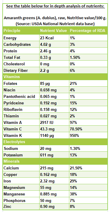 Mustard Greens: Nutrition Facts and Health Benefits