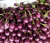 fresh aubergines1