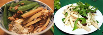 bamboo-shoots-ricipes