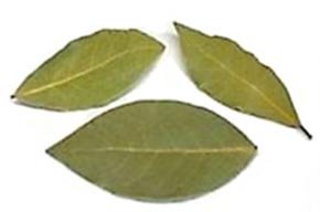 bayleaf