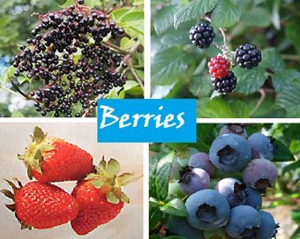 Heart healthy berries