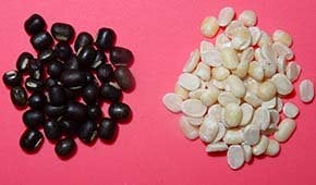 black gram-urad beans