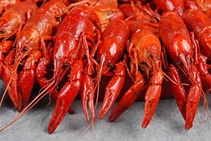 boiled crawfish