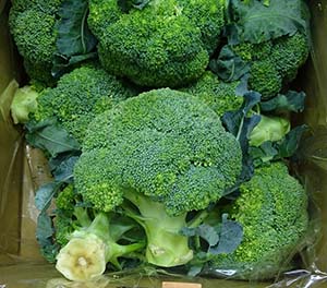 broccoli-flower