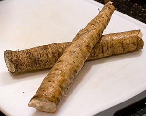 Burdock root