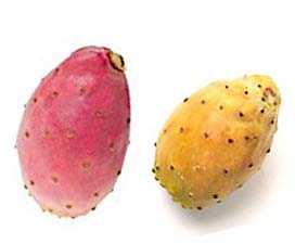 Prickly pears