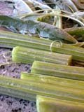 cardoon sections