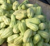 fresh mirlitons (chayote) in a market