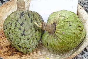 cherimoya fruits