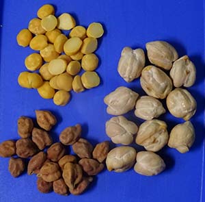 chickpeas