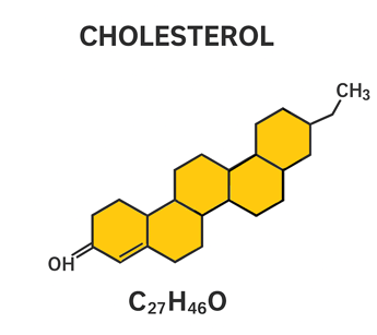 Cholesterol molecule