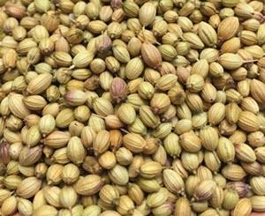 coriander seeds