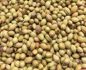 Coriander Seeds Nutrition Facts And Health Benefits