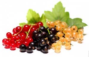 currants