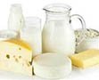 dairy products