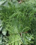 Fresh dill weed in a market