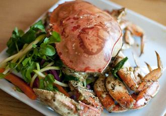 dungeness-crab-recipe