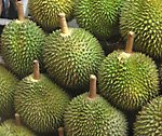 durian fruits