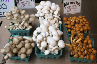 edible-mushrooms