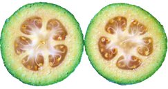 Feijoa (Pineapple guava) fruit Nutrition facts and Health benefits