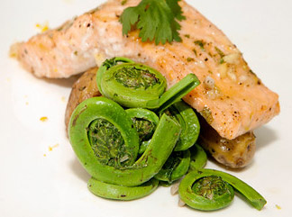 fiddlehead-fern-salmon-recipe