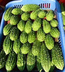 bitter gourd in a market