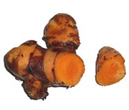 Fresh turmeric rhizome