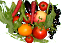 fruit and vegetables rich in carotenes