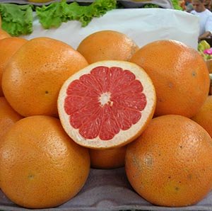 grapefruit