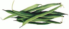 green beans