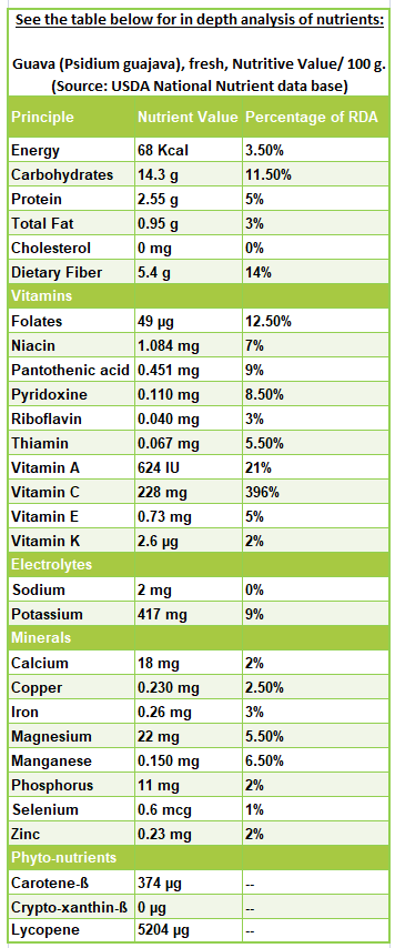 Guava fruit nutrition facts and health benefits Guava fruit nutrition facts and health benefits