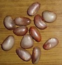 dried jackfruit seeds