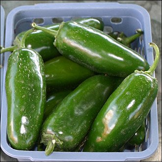 fresh jalapenos in a market