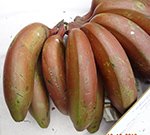 red-banana-kappa-vazha